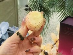 -美罗城
