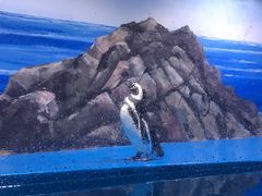 -青岛海底世界-水族馆