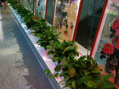 -西单明珠商场
