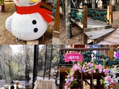 -洛阳白云山景区