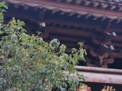-华林禅寺