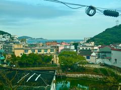 -枸杞岛