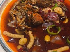 -杨氏青龙虾·羊肉季(金盛路总店)