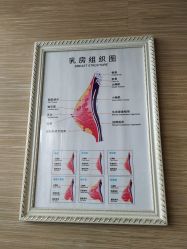 -成都伊贝丝美容美胸SPA会所