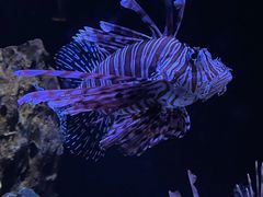 -海合安天津极地海洋公园