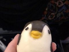 -帝企鹅自助餐厅•儿童岛•真企鹅(长隆企鹅酒店)