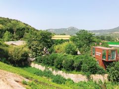 -青岛森林野生动物世界