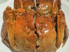 -呼吸森林·生态农庄农家乐私房菜