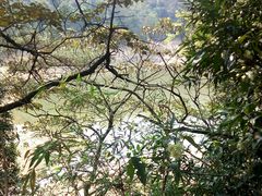 -佛山市三水区大南山森林公园