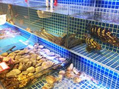水产区-必点海鲜·鲅鱼水饺(鞍山西道店)