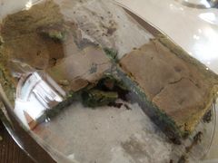 -下午的温度面包店(静宁路店)