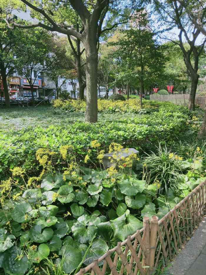 丽园公园-"闹市区里的公园.晚上变成了跳广场舞的好地.