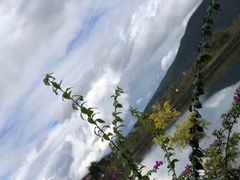 -和顺古镇