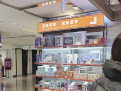 -神盾局密室逃脱(in77店)