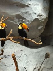 -Zoolung Zoolung动物主题公园(海信广场店)