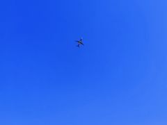 -空港花田景区