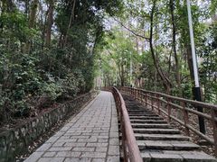 -水濂山森林公园