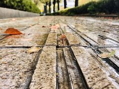 -上海科技馆(地铁站)