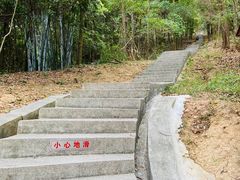 -分塔山省级森林公园