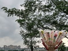 -仙湖旅游度假区