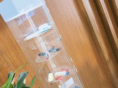 -赫尔森口腔·牙齿种植修复