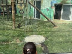 -鄂尔多斯野生动物园