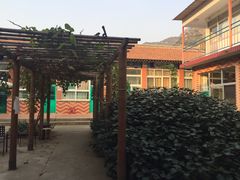-崔家大院·特色农家菜