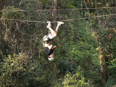 -清迈丛林飞跃 JungleFlight
