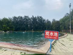 -柳浪游泳场