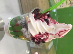 iphone_upload_pic-Salud撒露欧洲冻酸奶(蓝色港湾店)
