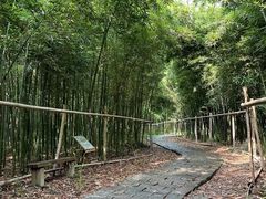 -同里国家湿地公园