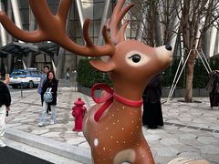 -深圳湾万象城(南山店)