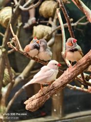 -Zoolung Zoolung动物主题公园(海信广场店)