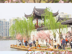 -莫愁湖公园