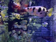 -成都浩海立方海洋公园