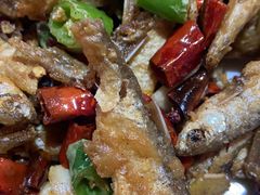 -源泉冷水鱼庄(小鱼洞店)