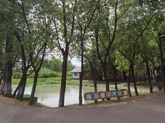 -乌村