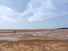 -日照海滨国家森林公园