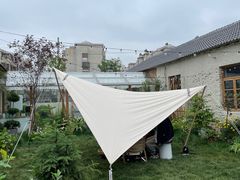 -Jo's Garden