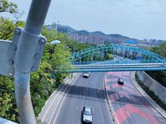 -富斯特索道