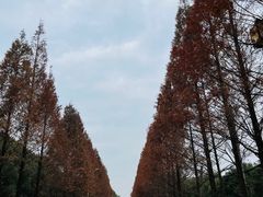 -皇罗禅寺