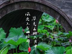 -慧因高丽寺
