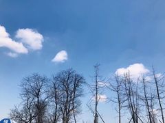 -秀丽东方