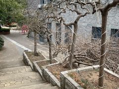 -崂山书院酒店