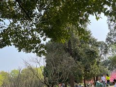 -秀丽东方