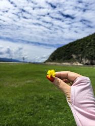 -纳帕海依拉草原