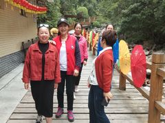 -九龙江国家森林公园