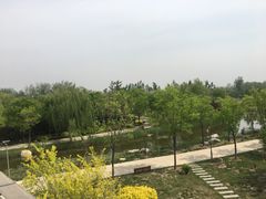 -武清南湖绿博园