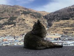 -松州古城