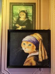 -疯狂冒险家-亲子密室-东坝店(金隅嘉品店)